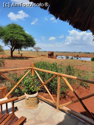 [P23] de pe terasa Ngutuni Lodge » foto by nela b
 - 
<span class="allrVoted glyphicon glyphicon-heart hidden" id="av1515239"></span>
<a class="m-l-10 hidden" id="sv1515239" onclick="voting_Foto_DelVot(,1515239,2009)" role="button">șterge vot <span class="glyphicon glyphicon-remove"></span></a>
<a id="v91515239" class=" c-red"  onclick="voting_Foto_SetVot(1515239)" role="button"><span class="glyphicon glyphicon-heart-empty"></span> <b>LIKE</b> = Votează poza</a> <img class="hidden"  id="f1515239W9" src="/imagini/loader.gif" border="0" /><span class="AjErrMes hidden" id="e1515239ErM"></span>