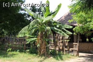 [P15] Ultima poza din Kenya, cu un strop de bucurie si speranta.  » foto by glcitizen
 - 
<span class="allrVoted glyphicon glyphicon-heart hidden" id="av734035"></span>
<a class="m-l-10 hidden" id="sv734035" onclick="voting_Foto_DelVot(,734035,2009)" role="button">șterge vot <span class="glyphicon glyphicon-remove"></span></a>
<a id="v9734035" class=" c-red"  onclick="voting_Foto_SetVot(734035)" role="button"><span class="glyphicon glyphicon-heart-empty"></span> <b>LIKE</b> = Votează poza</a> <img class="hidden"  id="f734035W9" src="/imagini/loader.gif" border="0" /><span class="AjErrMes hidden" id="e734035ErM"></span>