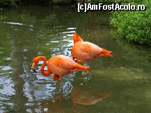 [P02] vis-a-vis de receptia hotelului » foto by rodica p
 - 
<span class="allrVoted glyphicon glyphicon-heart hidden" id="av54189"></span>
<a class="m-l-10 hidden" id="sv54189" onclick="voting_Foto_DelVot(,54189,2013)" role="button">șterge vot <span class="glyphicon glyphicon-remove"></span></a>
<a id="v954189" class=" c-red"  onclick="voting_Foto_SetVot(54189)" role="button"><span class="glyphicon glyphicon-heart-empty"></span> <b>LIKE</b> = Votează poza</a> <img class="hidden"  id="f54189W9" src="/imagini/loader.gif" border="0" /><span class="AjErrMes hidden" id="e54189ErM"></span>