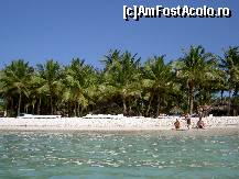 [P04] insula Saona » foto by rodica p
 - 
<span class="allrVoted glyphicon glyphicon-heart hidden" id="av54195"></span>
<a class="m-l-10 hidden" id="sv54195" onclick="voting_Foto_DelVot(,54195,2013)" role="button">șterge vot <span class="glyphicon glyphicon-remove"></span></a>
<a id="v954195" class=" c-red"  onclick="voting_Foto_SetVot(54195)" role="button"><span class="glyphicon glyphicon-heart-empty"></span> <b>LIKE</b> = Votează poza</a> <img class="hidden"  id="f54195W9" src="/imagini/loader.gif" border="0" /><span class="AjErrMes hidden" id="e54195ErM"></span>