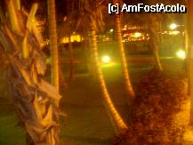 [P18] Peisaj de noapte obisnuit » foto by sirbuvio
 - 
<span class="allrVoted glyphicon glyphicon-heart hidden" id="av75324"></span>
<a class="m-l-10 hidden" id="sv75324" onclick="voting_Foto_DelVot(,75324,2013)" role="button">șterge vot <span class="glyphicon glyphicon-remove"></span></a>
<a id="v975324" class=" c-red"  onclick="voting_Foto_SetVot(75324)" role="button"><span class="glyphicon glyphicon-heart-empty"></span> <b>LIKE</b> = Votează poza</a> <img class="hidden"  id="f75324W9" src="/imagini/loader.gif" border="0" /><span class="AjErrMes hidden" id="e75324ErM"></span>