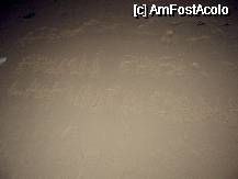 [P04] Primii pasi la Punta Cana - 13 decembrie 2007, 01:30 LT » foto by sirbuvio
 - 
<span class="allrVoted glyphicon glyphicon-heart hidden" id="av75083"></span>
<a class="m-l-10 hidden" id="sv75083" onclick="voting_Foto_DelVot(,75083,2013)" role="button">șterge vot <span class="glyphicon glyphicon-remove"></span></a>
<a id="v975083" class=" c-red"  onclick="voting_Foto_SetVot(75083)" role="button"><span class="glyphicon glyphicon-heart-empty"></span> <b>LIKE</b> = Votează poza</a> <img class="hidden"  id="f75083W9" src="/imagini/loader.gif" border="0" /><span class="AjErrMes hidden" id="e75083ErM"></span>