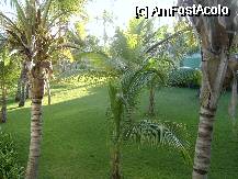 [P05]  -- <small>// FĂRĂ DESCRIERE</small> » foto by sirbuvio
 - 
<span class="allrVoted glyphicon glyphicon-heart hidden" id="av75096"></span>
<a class="m-l-10 hidden" id="sv75096" onclick="voting_Foto_DelVot(,75096,2013)" role="button">șterge vot <span class="glyphicon glyphicon-remove"></span></a>
<a id="v975096" class=" c-red"  onclick="voting_Foto_SetVot(75096)" role="button"><span class="glyphicon glyphicon-heart-empty"></span> <b>LIKE</b> = Votează poza</a> <img class="hidden"  id="f75096W9" src="/imagini/loader.gif" border="0" /><span class="AjErrMes hidden" id="e75096ErM"></span>