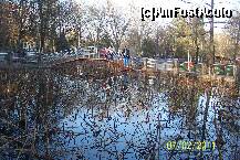 [P09] Parcul statiunii Baile Felix, lacurile cu nuferi termali (Nymphaea Lotus var.Thermalis) in luna februarie » foto by raducondurache
 - 
<span class="allrVoted glyphicon glyphicon-heart hidden" id="av186568"></span>
<a class="m-l-10 hidden" id="sv186568" onclick="voting_Foto_DelVot(,186568,2019)" role="button">șterge vot <span class="glyphicon glyphicon-remove"></span></a>
<a id="v9186568" class=" c-red"  onclick="voting_Foto_SetVot(186568)" role="button"><span class="glyphicon glyphicon-heart-empty"></span> <b>LIKE</b> = Votează poza</a> <img class="hidden"  id="f186568W9" src="/imagini/loader.gif" border="0" /><span class="AjErrMes hidden" id="e186568ErM"></span>