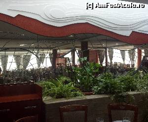 [P01] Mi-a plăcut în special un element decorativ al restaurantului, sub forma unui colaj de oglinzi cu diverse contururi neregulate şi cu nişte plante în faţă, oglinzi care-ţi dădeau impresia că eşti într-o sală de volum dublu pentru că erau destul de greu de depistat ca fiind oglinzi. » foto by donjoe
 - 
<span class="allrVoted glyphicon glyphicon-heart hidden" id="av499918"></span>
<a class="m-l-10 hidden" id="sv499918" onclick="voting_Foto_DelVot(,499918,2038)" role="button">șterge vot <span class="glyphicon glyphicon-remove"></span></a>
<a id="v9499918" class=" c-red"  onclick="voting_Foto_SetVot(499918)" role="button"><span class="glyphicon glyphicon-heart-empty"></span> <b>LIKE</b> = Votează poza</a> <img class="hidden"  id="f499918W9" src="/imagini/loader.gif" border="0" /><span class="AjErrMes hidden" id="e499918ErM"></span>
