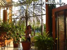 [P08] Dimineata printre florile 'gradinii botanice' a holului din hotelul Gomar Lux » foto by ileanaxperta*
 - 
<span class="allrVoted glyphicon glyphicon-heart hidden" id="av173182"></span>
<a class="m-l-10 hidden" id="sv173182" onclick="voting_Foto_DelVot(,173182,2038)" role="button">șterge vot <span class="glyphicon glyphicon-remove"></span></a>
<a id="v9173182" class=" c-red"  onclick="voting_Foto_SetVot(173182)" role="button"><span class="glyphicon glyphicon-heart-empty"></span> <b>LIKE</b> = Votează poza</a> <img class="hidden"  id="f173182W9" src="/imagini/loader.gif" border="0" /><span class="AjErrMes hidden" id="e173182ErM"></span>