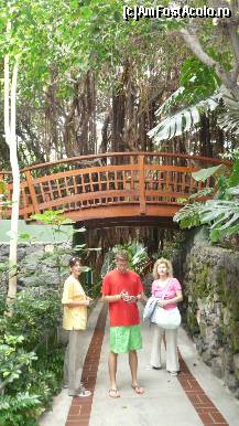 [P42] Vegetatie luxurianta... » foto by irinagh
 - 
<span class="allrVoted glyphicon glyphicon-heart hidden" id="av130485"></span>
<a class="m-l-10 hidden" id="sv130485" onclick="voting_Foto_DelVot(,130485,2078)" role="button">șterge vot <span class="glyphicon glyphicon-remove"></span></a>
<a id="v9130485" class=" c-red"  onclick="voting_Foto_SetVot(130485)" role="button"><span class="glyphicon glyphicon-heart-empty"></span> <b>LIKE</b> = Votează poza</a> <img class="hidden"  id="f130485W9" src="/imagini/loader.gif" border="0" /><span class="AjErrMes hidden" id="e130485ErM"></span>