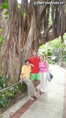 [P43] Un arbore fara scoarta, dar impresionant de mare... » foto by irinagh
 - 
<span class="allrVoted glyphicon glyphicon-heart hidden" id="av130486"></span>
<a class="m-l-10 hidden" id="sv130486" onclick="voting_Foto_DelVot(,130486,2078)" role="button">șterge vot <span class="glyphicon glyphicon-remove"></span></a>
<a id="v9130486" class=" c-red"  onclick="voting_Foto_SetVot(130486)" role="button"><span class="glyphicon glyphicon-heart-empty"></span> <b>LIKE</b> = Votează poza</a> <img class="hidden"  id="f130486W9" src="/imagini/loader.gif" border="0" /><span class="AjErrMes hidden" id="e130486ErM"></span>