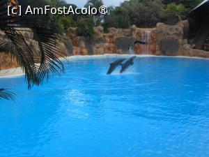 [P11] Puerto de la Cruz - Loro Parque. La spectacol. » foto by iulianic
 - 
<span class="allrVoted glyphicon glyphicon-heart hidden" id="av1424692"></span>
<a class="m-l-10 hidden" id="sv1424692" onclick="voting_Foto_DelVot(,1424692,2078)" role="button">șterge vot <span class="glyphicon glyphicon-remove"></span></a>
<a id="v91424692" class=" c-red"  onclick="voting_Foto_SetVot(1424692)" role="button"><span class="glyphicon glyphicon-heart-empty"></span> <b>LIKE</b> = Votează poza</a> <img class="hidden"  id="f1424692W9" src="/imagini/loader.gif" border="0" /><span class="AjErrMes hidden" id="e1424692ErM"></span>