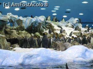 [P22]  -- <small>// FĂRĂ DESCRIERE</small> » foto by iulianic
 - 
<span class="allrVoted glyphicon glyphicon-heart hidden" id="av1424703"></span>
<a class="m-l-10 hidden" id="sv1424703" onclick="voting_Foto_DelVot(,1424703,2078)" role="button">șterge vot <span class="glyphicon glyphicon-remove"></span></a>
<a id="v91424703" class=" c-red"  onclick="voting_Foto_SetVot(1424703)" role="button"><span class="glyphicon glyphicon-heart-empty"></span> <b>LIKE</b> = Votează poza</a> <img class="hidden"  id="f1424703W9" src="/imagini/loader.gif" border="0" /><span class="AjErrMes hidden" id="e1424703ErM"></span>