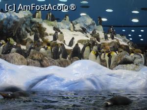 [P23]  -- <small>// FĂRĂ DESCRIERE</small> » foto by iulianic
 - 
<span class="allrVoted glyphicon glyphicon-heart hidden" id="av1424704"></span>
<a class="m-l-10 hidden" id="sv1424704" onclick="voting_Foto_DelVot(,1424704,2078)" role="button">șterge vot <span class="glyphicon glyphicon-remove"></span></a>
<a id="v91424704" class=" c-red"  onclick="voting_Foto_SetVot(1424704)" role="button"><span class="glyphicon glyphicon-heart-empty"></span> <b>LIKE</b> = Votează poza</a> <img class="hidden"  id="f1424704W9" src="/imagini/loader.gif" border="0" /><span class="AjErrMes hidden" id="e1424704ErM"></span>