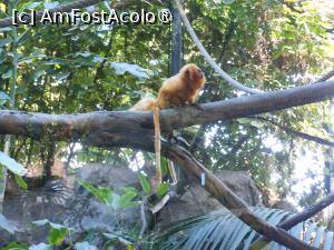 [P29]  -- <small>// FĂRĂ DESCRIERE</small> » foto by iulianic
 - 
<span class="allrVoted glyphicon glyphicon-heart hidden" id="av1424710"></span>
<a class="m-l-10 hidden" id="sv1424710" onclick="voting_Foto_DelVot(,1424710,2078)" role="button">șterge vot <span class="glyphicon glyphicon-remove"></span></a>
<a id="v91424710" class=" c-red"  onclick="voting_Foto_SetVot(1424710)" role="button"><span class="glyphicon glyphicon-heart-empty"></span> <b>LIKE</b> = Votează poza</a> <img class="hidden"  id="f1424710W9" src="/imagini/loader.gif" border="0" /><span class="AjErrMes hidden" id="e1424710ErM"></span>