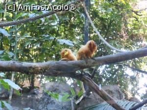 [P30]  -- <small>// FĂRĂ DESCRIERE</small> » foto by iulianic
 - 
<span class="allrVoted glyphicon glyphicon-heart hidden" id="av1424711"></span>
<a class="m-l-10 hidden" id="sv1424711" onclick="voting_Foto_DelVot(,1424711,2078)" role="button">șterge vot <span class="glyphicon glyphicon-remove"></span></a>
<a id="v91424711" class=" c-red"  onclick="voting_Foto_SetVot(1424711)" role="button"><span class="glyphicon glyphicon-heart-empty"></span> <b>LIKE</b> = Votează poza</a> <img class="hidden"  id="f1424711W9" src="/imagini/loader.gif" border="0" /><span class="AjErrMes hidden" id="e1424711ErM"></span>