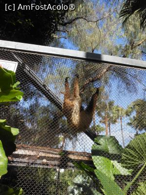 [P31]  -- <small>// FĂRĂ DESCRIERE</small> » foto by iulianic
 - 
<span class="allrVoted glyphicon glyphicon-heart hidden" id="av1424712"></span>
<a class="m-l-10 hidden" id="sv1424712" onclick="voting_Foto_DelVot(,1424712,2078)" role="button">șterge vot <span class="glyphicon glyphicon-remove"></span></a>
<a id="v91424712" class=" c-red"  onclick="voting_Foto_SetVot(1424712)" role="button"><span class="glyphicon glyphicon-heart-empty"></span> <b>LIKE</b> = Votează poza</a> <img class="hidden"  id="f1424712W9" src="/imagini/loader.gif" border="0" /><span class="AjErrMes hidden" id="e1424712ErM"></span>