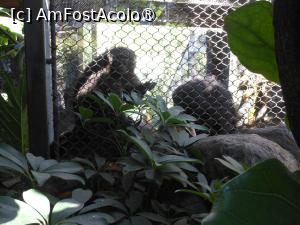 [P32]  -- <small>// FĂRĂ DESCRIERE</small> » foto by iulianic
 - 
<span class="allrVoted glyphicon glyphicon-heart hidden" id="av1424713"></span>
<a class="m-l-10 hidden" id="sv1424713" onclick="voting_Foto_DelVot(,1424713,2078)" role="button">șterge vot <span class="glyphicon glyphicon-remove"></span></a>
<a id="v91424713" class=" c-red"  onclick="voting_Foto_SetVot(1424713)" role="button"><span class="glyphicon glyphicon-heart-empty"></span> <b>LIKE</b> = Votează poza</a> <img class="hidden"  id="f1424713W9" src="/imagini/loader.gif" border="0" /><span class="AjErrMes hidden" id="e1424713ErM"></span>