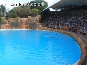 [P35]  -- <small>// FĂRĂ DESCRIERE</small> » foto by iulianic
 - 
<span class="allrVoted glyphicon glyphicon-heart hidden" id="av1424716"></span>
<a class="m-l-10 hidden" id="sv1424716" onclick="voting_Foto_DelVot(,1424716,2078)" role="button">șterge vot <span class="glyphicon glyphicon-remove"></span></a>
<a id="v91424716" class=" c-red"  onclick="voting_Foto_SetVot(1424716)" role="button"><span class="glyphicon glyphicon-heart-empty"></span> <b>LIKE</b> = Votează poza</a> <img class="hidden"  id="f1424716W9" src="/imagini/loader.gif" border="0" /><span class="AjErrMes hidden" id="e1424716ErM"></span>