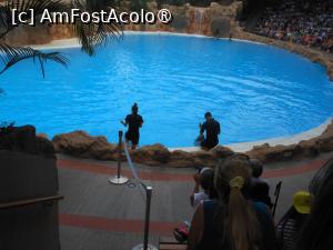 [P39]  -- <small>// FĂRĂ DESCRIERE</small> » foto by iulianic
 - 
<span class="allrVoted glyphicon glyphicon-heart hidden" id="av1424720"></span>
<a class="m-l-10 hidden" id="sv1424720" onclick="voting_Foto_DelVot(,1424720,2078)" role="button">șterge vot <span class="glyphicon glyphicon-remove"></span></a>
<a id="v91424720" class=" c-red"  onclick="voting_Foto_SetVot(1424720)" role="button"><span class="glyphicon glyphicon-heart-empty"></span> <b>LIKE</b> = Votează poza</a> <img class="hidden"  id="f1424720W9" src="/imagini/loader.gif" border="0" /><span class="AjErrMes hidden" id="e1424720ErM"></span>