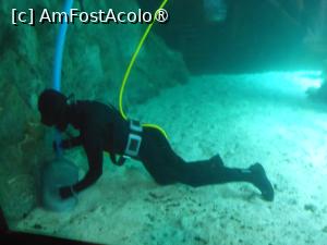 [P05] Puerto de la Cruz - Loro Parque. Se curăță acvariile. » foto by iulianic
 - 
<span class="allrVoted glyphicon glyphicon-heart hidden" id="av1424686"></span>
<a class="m-l-10 hidden" id="sv1424686" onclick="voting_Foto_DelVot(,1424686,2078)" role="button">șterge vot <span class="glyphicon glyphicon-remove"></span></a>
<a id="v91424686" class=" c-red"  onclick="voting_Foto_SetVot(1424686)" role="button"><span class="glyphicon glyphicon-heart-empty"></span> <b>LIKE</b> = Votează poza</a> <img class="hidden"  id="f1424686W9" src="/imagini/loader.gif" border="0" /><span class="AjErrMes hidden" id="e1424686ErM"></span>