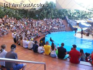 [P07] Puerto de la Cruz - Loro Parque. La spectacol. » foto by iulianic
 - 
<span class="allrVoted glyphicon glyphicon-heart hidden" id="av1424688"></span>
<a class="m-l-10 hidden" id="sv1424688" onclick="voting_Foto_DelVot(,1424688,2078)" role="button">șterge vot <span class="glyphicon glyphicon-remove"></span></a>
<a id="v91424688" class=" c-red"  onclick="voting_Foto_SetVot(1424688)" role="button"><span class="glyphicon glyphicon-heart-empty"></span> <b>LIKE</b> = Votează poza</a> <img class="hidden"  id="f1424688W9" src="/imagini/loader.gif" border="0" /><span class="AjErrMes hidden" id="e1424688ErM"></span>