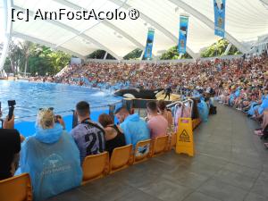 [P08] Puerto de la Cruz - Loro Parque. La spectacol. » foto by iulianic
 - 
<span class="allrVoted glyphicon glyphicon-heart hidden" id="av1424689"></span>
<a class="m-l-10 hidden" id="sv1424689" onclick="voting_Foto_DelVot(,1424689,2078)" role="button">șterge vot <span class="glyphicon glyphicon-remove"></span></a>
<a id="v91424689" class=" c-red"  onclick="voting_Foto_SetVot(1424689)" role="button"><span class="glyphicon glyphicon-heart-empty"></span> <b>LIKE</b> = Votează poza</a> <img class="hidden"  id="f1424689W9" src="/imagini/loader.gif" border="0" /><span class="AjErrMes hidden" id="e1424689ErM"></span>
