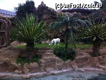 [P18] regele leu jucandu-se cu cina » foto by ghecamelia
 - 
<span class="allrVoted glyphicon glyphicon-heart hidden" id="av50625"></span>
<a class="m-l-10 hidden" id="sv50625" onclick="voting_Foto_DelVot(,50625,2078)" role="button">șterge vot <span class="glyphicon glyphicon-remove"></span></a>
<a id="v950625" class=" c-red"  onclick="voting_Foto_SetVot(50625)" role="button"><span class="glyphicon glyphicon-heart-empty"></span> <b>LIKE</b> = Votează poza</a> <img class="hidden"  id="f50625W9" src="/imagini/loader.gif" border="0" /><span class="AjErrMes hidden" id="e50625ErM"></span>