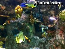 [P25] un paradis acvatic » foto by ghecamelia
 - 
<span class="allrVoted glyphicon glyphicon-heart hidden" id="av50639"></span>
<a class="m-l-10 hidden" id="sv50639" onclick="voting_Foto_DelVot(,50639,2078)" role="button">șterge vot <span class="glyphicon glyphicon-remove"></span></a>
<a id="v950639" class=" c-red"  onclick="voting_Foto_SetVot(50639)" role="button"><span class="glyphicon glyphicon-heart-empty"></span> <b>LIKE</b> = Votează poza</a> <img class="hidden"  id="f50639W9" src="/imagini/loader.gif" border="0" /><span class="AjErrMes hidden" id="e50639ErM"></span>