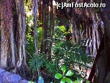 [P05] papagalii in toata splendoarea de culori » foto by ghecamelia
 - 
<span class="allrVoted glyphicon glyphicon-heart hidden" id="av50611"></span>
<a class="m-l-10 hidden" id="sv50611" onclick="voting_Foto_DelVot(,50611,2078)" role="button">șterge vot <span class="glyphicon glyphicon-remove"></span></a>
<a id="v950611" class=" c-red"  onclick="voting_Foto_SetVot(50611)" role="button"><span class="glyphicon glyphicon-heart-empty"></span> <b>LIKE</b> = Votează poza</a> <img class="hidden"  id="f50611W9" src="/imagini/loader.gif" border="0" /><span class="AjErrMes hidden" id="e50611ErM"></span>