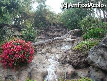 [P03] Loro Parque ofera la fiecare pas peisaje inedite » foto by pink_gabi*
 - 
<span class="allrVoted glyphicon glyphicon-heart hidden" id="av75017"></span>
<a class="m-l-10 hidden" id="sv75017" onclick="voting_Foto_DelVot(,75017,2078)" role="button">șterge vot <span class="glyphicon glyphicon-remove"></span></a>
<a id="v975017" class=" c-red"  onclick="voting_Foto_SetVot(75017)" role="button"><span class="glyphicon glyphicon-heart-empty"></span> <b>LIKE</b> = Votează poza</a> <img class="hidden"  id="f75017W9" src="/imagini/loader.gif" border="0" /><span class="AjErrMes hidden" id="e75017ErM"></span>