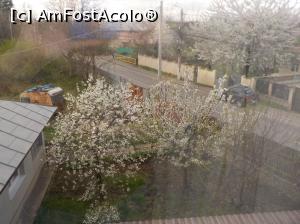 [P24] Ce vedeam eu pe geam la dreapta » foto by Zoazore
 - 
<span class="allrVoted glyphicon glyphicon-heart hidden" id="av1296793"></span>
<a class="m-l-10 hidden" id="sv1296793" onclick="voting_Foto_DelVot(,1296793,2121)" role="button">șterge vot <span class="glyphicon glyphicon-remove"></span></a>
<a id="v91296793" class=" c-red"  onclick="voting_Foto_SetVot(1296793)" role="button"><span class="glyphicon glyphicon-heart-empty"></span> <b>LIKE</b> = Votează poza</a> <img class="hidden"  id="f1296793W9" src="/imagini/loader.gif" border="0" /><span class="AjErrMes hidden" id="e1296793ErM"></span>