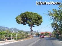 [P07] Pe drum spre Argalasti » foto by ionescunic
 - 
<span class="allrVoted glyphicon glyphicon-heart hidden" id="av242413"></span>
<a class="m-l-10 hidden" id="sv242413" onclick="voting_Foto_DelVot(,242413,2124)" role="button">șterge vot <span class="glyphicon glyphicon-remove"></span></a>
<a id="v9242413" class=" c-red"  onclick="voting_Foto_SetVot(242413)" role="button"><span class="glyphicon glyphicon-heart-empty"></span> <b>LIKE</b> = Votează poza</a> <img class="hidden"  id="f242413W9" src="/imagini/loader.gif" border="0" /><span class="AjErrMes hidden" id="e242413ErM"></span>