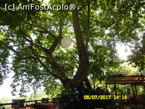 [P10] Pauză de masă printre hortensii » foto by almona
 - 
<span class="allrVoted glyphicon glyphicon-heart hidden" id="av876361"></span>
<a class="m-l-10 hidden" id="sv876361" onclick="voting_Foto_DelVot(,876361,2124)" role="button">șterge vot <span class="glyphicon glyphicon-remove"></span></a>
<a id="v9876361" class=" c-red"  onclick="voting_Foto_SetVot(876361)" role="button"><span class="glyphicon glyphicon-heart-empty"></span> <b>LIKE</b> = Votează poza</a> <img class="hidden"  id="f876361W9" src="/imagini/loader.gif" border="0" /><span class="AjErrMes hidden" id="e876361ErM"></span>