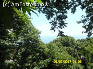 [P08] Un fluture?  » foto by almona
 - 
<span class="allrVoted glyphicon glyphicon-heart hidden" id="av876358"></span>
<a class="m-l-10 hidden" id="sv876358" onclick="voting_Foto_DelVot(,876358,2124)" role="button">șterge vot <span class="glyphicon glyphicon-remove"></span></a>
<a id="v9876358" class=" c-red"  onclick="voting_Foto_SetVot(876358)" role="button"><span class="glyphicon glyphicon-heart-empty"></span> <b>LIKE</b> = Votează poza</a> <img class="hidden"  id="f876358W9" src="/imagini/loader.gif" border="0" /><span class="AjErrMes hidden" id="e876358ErM"></span>