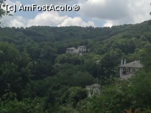 [P09] Verde pur » foto by almona
 - 
<span class="allrVoted glyphicon glyphicon-heart hidden" id="av876359"></span>
<a class="m-l-10 hidden" id="sv876359" onclick="voting_Foto_DelVot(,876359,2124)" role="button">șterge vot <span class="glyphicon glyphicon-remove"></span></a>
<a id="v9876359" class=" c-red"  onclick="voting_Foto_SetVot(876359)" role="button"><span class="glyphicon glyphicon-heart-empty"></span> <b>LIKE</b> = Votează poza</a> <img class="hidden"  id="f876359W9" src="/imagini/loader.gif" border="0" /><span class="AjErrMes hidden" id="e876359ErM"></span>