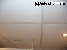 [P07]  -- <small>// FĂRĂ DESCRIERE</small> » foto by sisisi
 - 
<span class="allrVoted glyphicon glyphicon-heart hidden" id="av75805"></span>
<a class="m-l-10 hidden" id="sv75805" onclick="voting_Foto_DelVot(,75805,2141)" role="button">șterge vot <span class="glyphicon glyphicon-remove"></span></a>
<a id="v975805" class=" c-red"  onclick="voting_Foto_SetVot(75805)" role="button"><span class="glyphicon glyphicon-heart-empty"></span> <b>LIKE</b> = Votează poza</a> <img class="hidden"  id="f75805W9" src="/imagini/loader.gif" border="0" /><span class="AjErrMes hidden" id="e75805ErM"></span>