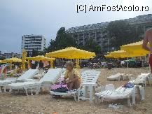 [P01]  -- <small>// FĂRĂ DESCRIERE</small> » foto by ada477
 - 
<span class="allrVoted glyphicon glyphicon-heart hidden" id="av10318"></span>
<a class="m-l-10 hidden" id="sv10318" onclick="voting_Foto_DelVot(,10318,2141)" role="button">șterge vot <span class="glyphicon glyphicon-remove"></span></a>
<a id="v910318" class=" c-red"  onclick="voting_Foto_SetVot(10318)" role="button"><span class="glyphicon glyphicon-heart-empty"></span> <b>LIKE</b> = Votează poza</a> <img class="hidden"  id="f10318W9" src="/imagini/loader.gif" border="0" /><span class="AjErrMes hidden" id="e10318ErM"></span>