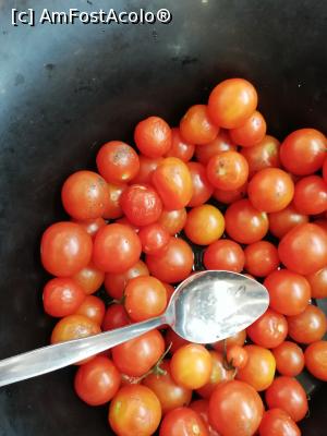 [P01]  -- <small>// FĂRĂ DESCRIERE</small> » foto by frumuzache
 - 
<span class="allrVoted glyphicon glyphicon-heart hidden" id="av1095675"></span>
<a class="m-l-10 hidden" id="sv1095675" onclick="voting_Foto_DelVot(,1095675,2141)" role="button">șterge vot <span class="glyphicon glyphicon-remove"></span></a>
<a id="v91095675" class=" c-red"  onclick="voting_Foto_SetVot(1095675)" role="button"><span class="glyphicon glyphicon-heart-empty"></span> <b>LIKE</b> = Votează poza</a> <img class="hidden"  id="f1095675W9" src="/imagini/loader.gif" border="0" /><span class="AjErrMes hidden" id="e1095675ErM"></span>