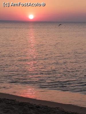 [P01]  -- <small>// FĂRĂ DESCRIERE</small> » foto by bazaita
 - 
<span class="allrVoted glyphicon glyphicon-heart hidden" id="av985171"></span>
<a class="m-l-10 hidden" id="sv985171" onclick="voting_Foto_DelVot(,985171,2141)" role="button">șterge vot <span class="glyphicon glyphicon-remove"></span></a>
<a id="v9985171" class=" c-red"  onclick="voting_Foto_SetVot(985171)" role="button"><span class="glyphicon glyphicon-heart-empty"></span> <b>LIKE</b> = Votează poza</a> <img class="hidden"  id="f985171W9" src="/imagini/loader.gif" border="0" /><span class="AjErrMes hidden" id="e985171ErM"></span>