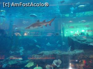 [P19] Rechinul » foto by bubica*
 - 
<span class="allrVoted glyphicon glyphicon-heart hidden" id="av1105840"></span>
<a class="m-l-10 hidden" id="sv1105840" onclick="voting_Foto_DelVot(,1105840,2142)" role="button">șterge vot <span class="glyphicon glyphicon-remove"></span></a>
<a id="v91105840" class=" c-red"  onclick="voting_Foto_SetVot(1105840)" role="button"><span class="glyphicon glyphicon-heart-empty"></span> <b>LIKE</b> = Votează poza</a> <img class="hidden"  id="f1105840W9" src="/imagini/loader.gif" border="0" /><span class="AjErrMes hidden" id="e1105840ErM"></span>