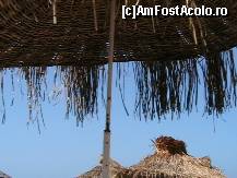 [P01] Umrela de plaja de 5 stele » foto by CRY
 - 
<span class="allrVoted glyphicon glyphicon-heart hidden" id="av89148"></span>
<a class="m-l-10 hidden" id="sv89148" onclick="voting_Foto_DelVot(,89148,2171)" role="button">șterge vot <span class="glyphicon glyphicon-remove"></span></a>
<a id="v989148" class=" c-red"  onclick="voting_Foto_SetVot(89148)" role="button"><span class="glyphicon glyphicon-heart-empty"></span> <b>LIKE</b> = Votează poza</a> <img class="hidden"  id="f89148W9" src="/imagini/loader.gif" border="0" /><span class="AjErrMes hidden" id="e89148ErM"></span>