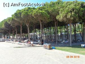 [P15] palcul de pini » foto by nrs †
 - 
<span class="allrVoted glyphicon glyphicon-heart hidden" id="av1018743"></span>
<a class="m-l-10 hidden" id="sv1018743" onclick="voting_Foto_DelVot(,1018743,2171)" role="button">șterge vot <span class="glyphicon glyphicon-remove"></span></a>
<a id="v91018743" class=" c-red"  onclick="voting_Foto_SetVot(1018743)" role="button"><span class="glyphicon glyphicon-heart-empty"></span> <b>LIKE</b> = Votează poza</a> <img class="hidden"  id="f1018743W9" src="/imagini/loader.gif" border="0" /><span class="AjErrMes hidden" id="e1018743ErM"></span>