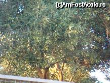 [P11x] maslin turcia » foto by alestar daniel
 - 
<span class="allrVoted glyphicon glyphicon-heart hidden" id="av22731"></span>
<a class="m-l-10 hidden" id="sv22731" onclick="voting_Foto_DelVot(,22731,2171)" role="button">șterge vot <span class="glyphicon glyphicon-remove"></span></a>
<a id="v922731" class=" c-red"  onclick="voting_Foto_SetVot(22731)" role="button"><span class="glyphicon glyphicon-heart-empty"></span> <b>LIKE</b> = Votează poza</a> <img class="hidden"  id="f22731W9" src="/imagini/loader.gif" border="0" /><span class="AjErrMes hidden" id="e22731ErM"></span>