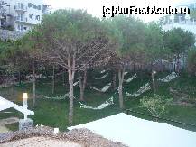 [P42] CDC - un loc de relaxare. » foto by Horia
 - 
<span class="allrVoted glyphicon glyphicon-heart hidden" id="av140601"></span>
<a class="m-l-10 hidden" id="sv140601" onclick="voting_Foto_DelVot(,140601,2171)" role="button">șterge vot <span class="glyphicon glyphicon-remove"></span></a>
<a id="v9140601" class=" c-red"  onclick="voting_Foto_SetVot(140601)" role="button"><span class="glyphicon glyphicon-heart-empty"></span> <b>LIKE</b> = Votează poza</a> <img class="hidden"  id="f140601W9" src="/imagini/loader.gif" border="0" /><span class="AjErrMes hidden" id="e140601ErM"></span>