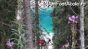 [P40] Ziua 2: Lago di Carezza se zareste printre brazi » foto by Camelia19
 - 
<span class="allrVoted glyphicon glyphicon-heart hidden" id="av681238"></span>
<a class="m-l-10 hidden" id="sv681238" onclick="voting_Foto_DelVot(,681238,2211)" role="button">șterge vot <span class="glyphicon glyphicon-remove"></span></a>
<a id="v9681238" class=" c-red"  onclick="voting_Foto_SetVot(681238)" role="button"><span class="glyphicon glyphicon-heart-empty"></span> <b>LIKE</b> = Votează poza</a> <img class="hidden"  id="f681238W9" src="/imagini/loader.gif" border="0" /><span class="AjErrMes hidden" id="e681238ErM"></span>