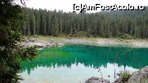 [P42] Ziua 2: Lago di Carezza, unul din cele mai frumoase lacuri din Dolomiti » foto by Camelia19
 - 
<span class="allrVoted glyphicon glyphicon-heart hidden" id="av681240"></span>
<a class="m-l-10 hidden" id="sv681240" onclick="voting_Foto_DelVot(,681240,2211)" role="button">șterge vot <span class="glyphicon glyphicon-remove"></span></a>
<a id="v9681240" class=" c-red"  onclick="voting_Foto_SetVot(681240)" role="button"><span class="glyphicon glyphicon-heart-empty"></span> <b>LIKE</b> = Votează poza</a> <img class="hidden"  id="f681240W9" src="/imagini/loader.gif" border="0" /><span class="AjErrMes hidden" id="e681240ErM"></span>