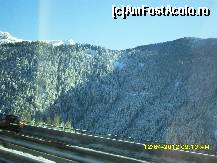 [P25]  -- <small>// FĂRĂ DESCRIERE</small> » foto by adryana
 - 
<span class="allrVoted glyphicon glyphicon-heart hidden" id="av318774"></span>
<a class="m-l-10 hidden" id="sv318774" onclick="voting_Foto_DelVot(,318774,2211)" role="button">șterge vot <span class="glyphicon glyphicon-remove"></span></a>
<a id="v9318774" class=" c-red"  onclick="voting_Foto_SetVot(318774)" role="button"><span class="glyphicon glyphicon-heart-empty"></span> <b>LIKE</b> = Votează poza</a> <img class="hidden"  id="f318774W9" src="/imagini/loader.gif" border="0" /><span class="AjErrMes hidden" id="e318774ErM"></span>