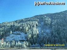 [P26]  -- <small>// FĂRĂ DESCRIERE</small> » foto by adryana
 - 
<span class="allrVoted glyphicon glyphicon-heart hidden" id="av318775"></span>
<a class="m-l-10 hidden" id="sv318775" onclick="voting_Foto_DelVot(,318775,2211)" role="button">șterge vot <span class="glyphicon glyphicon-remove"></span></a>
<a id="v9318775" class=" c-red"  onclick="voting_Foto_SetVot(318775)" role="button"><span class="glyphicon glyphicon-heart-empty"></span> <b>LIKE</b> = Votează poza</a> <img class="hidden"  id="f318775W9" src="/imagini/loader.gif" border="0" /><span class="AjErrMes hidden" id="e318775ErM"></span>