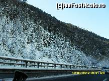 [P29] paduri ,,pudrate cu zahar'' » foto by adryana
 - 
<span class="allrVoted glyphicon glyphicon-heart hidden" id="av318778"></span>
<a class="m-l-10 hidden" id="sv318778" onclick="voting_Foto_DelVot(,318778,2211)" role="button">șterge vot <span class="glyphicon glyphicon-remove"></span></a>
<a id="v9318778" class=" c-red"  onclick="voting_Foto_SetVot(318778)" role="button"><span class="glyphicon glyphicon-heart-empty"></span> <b>LIKE</b> = Votează poza</a> <img class="hidden"  id="f318778W9" src="/imagini/loader.gif" border="0" /><span class="AjErrMes hidden" id="e318778ErM"></span>