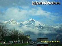 [P03]  -- <small>// FĂRĂ DESCRIERE</small> » foto by adryana
 - 
<span class="allrVoted glyphicon glyphicon-heart hidden" id="av318752"></span>
<a class="m-l-10 hidden" id="sv318752" onclick="voting_Foto_DelVot(,318752,2211)" role="button">șterge vot <span class="glyphicon glyphicon-remove"></span></a>
<a id="v9318752" class=" c-red"  onclick="voting_Foto_SetVot(318752)" role="button"><span class="glyphicon glyphicon-heart-empty"></span> <b>LIKE</b> = Votează poza</a> <img class="hidden"  id="f318752W9" src="/imagini/loader.gif" border="0" /><span class="AjErrMes hidden" id="e318752ErM"></span>