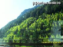 [P35] terapie cu verde » foto by adryana
 - 
<span class="allrVoted glyphicon glyphicon-heart hidden" id="av318784"></span>
<a class="m-l-10 hidden" id="sv318784" onclick="voting_Foto_DelVot(,318784,2211)" role="button">șterge vot <span class="glyphicon glyphicon-remove"></span></a>
<a id="v9318784" class=" c-red"  onclick="voting_Foto_SetVot(318784)" role="button"><span class="glyphicon glyphicon-heart-empty"></span> <b>LIKE</b> = Votează poza</a> <img class="hidden"  id="f318784W9" src="/imagini/loader.gif" border="0" /><span class="AjErrMes hidden" id="e318784ErM"></span>