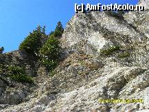 [P175]  -- <small>// FĂRĂ DESCRIERE</small> » foto by adryana
 - 
<span class="allrVoted glyphicon glyphicon-heart hidden" id="av319653"></span>
<a class="m-l-10 hidden" id="sv319653" onclick="voting_Foto_DelVot(,319653,2211)" role="button">șterge vot <span class="glyphicon glyphicon-remove"></span></a>
<a id="v9319653" class=" c-red"  onclick="voting_Foto_SetVot(319653)" role="button"><span class="glyphicon glyphicon-heart-empty"></span> <b>LIKE</b> = Votează poza</a> <img class="hidden"  id="f319653W9" src="/imagini/loader.gif" border="0" /><span class="AjErrMes hidden" id="e319653ErM"></span>